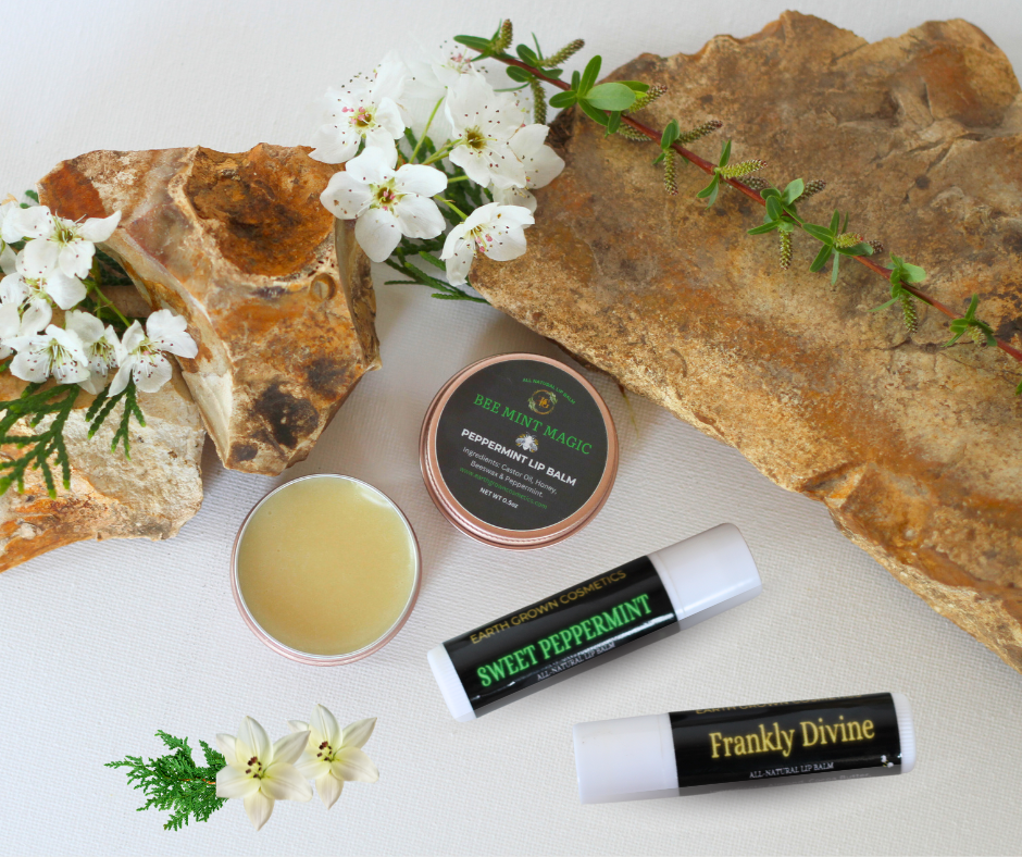All-Natural Lip Balms and ChapSticks for Hydration and Protection